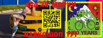 дмт Новозыбков